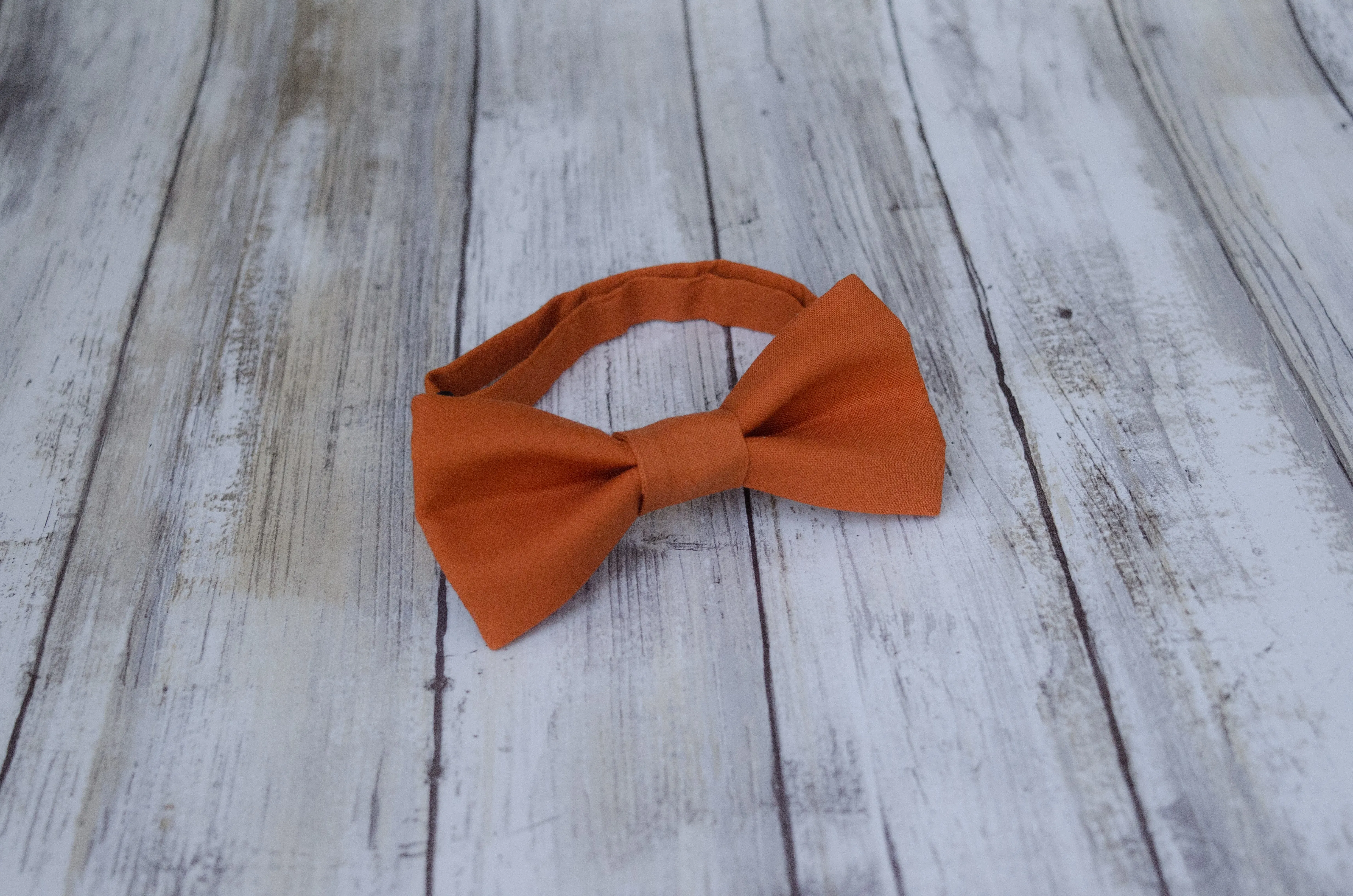 Autumn Orange Bow Tie (231)