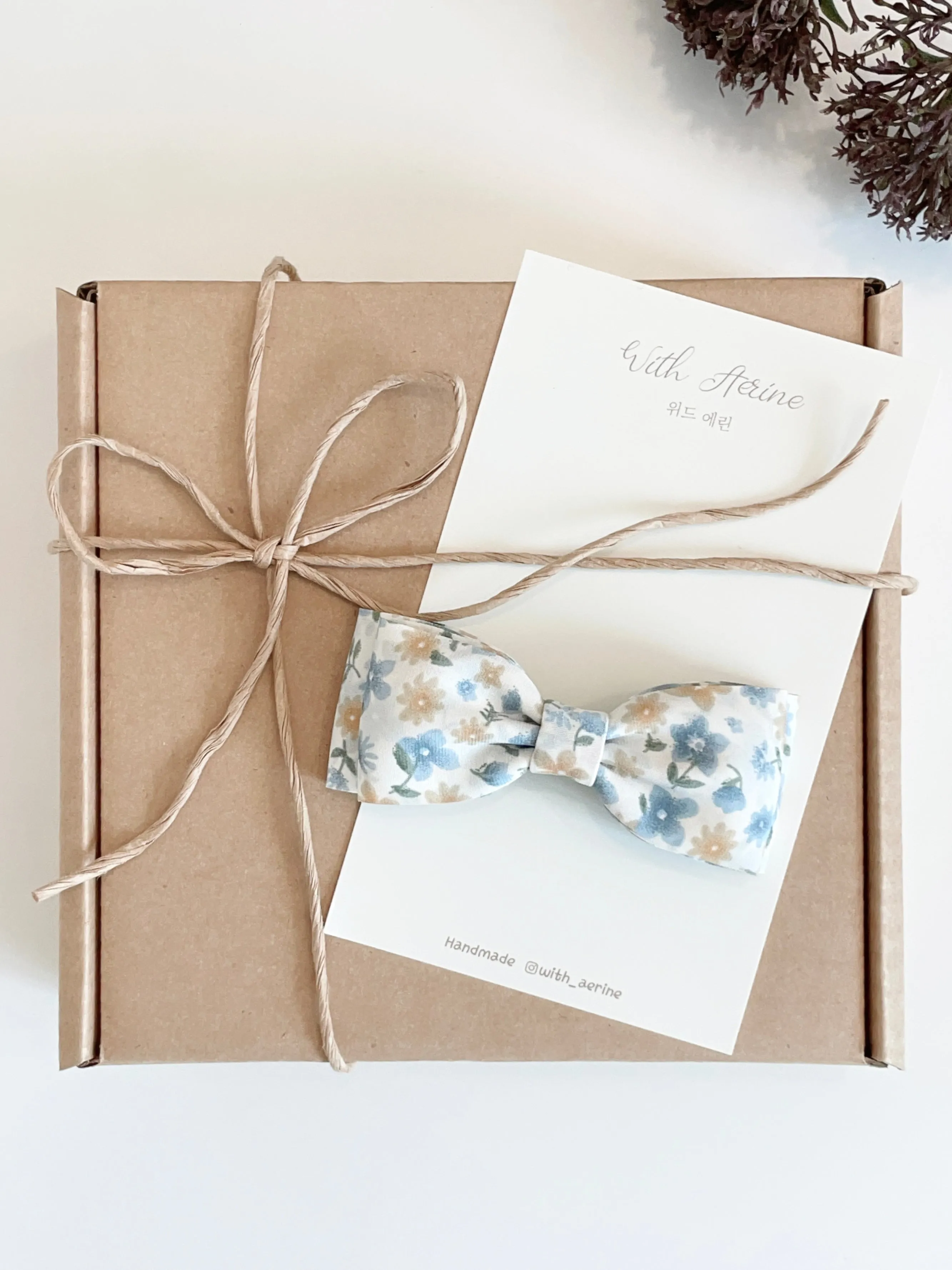 Melody bow