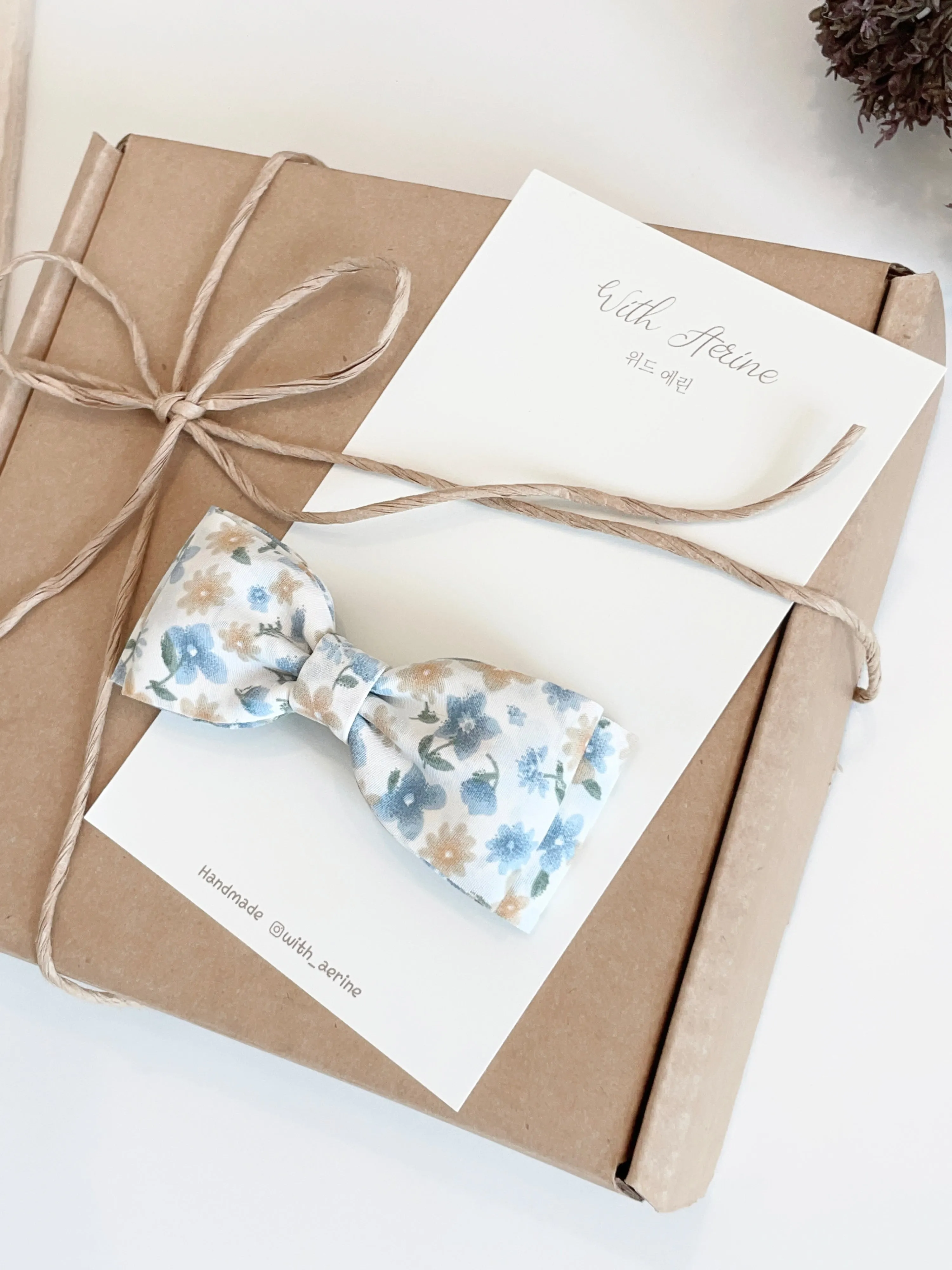 Melody bow